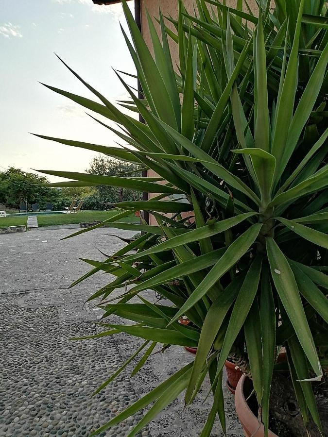 B&B Ronco Degli Ulivi Iseo Ngoại thất bức ảnh