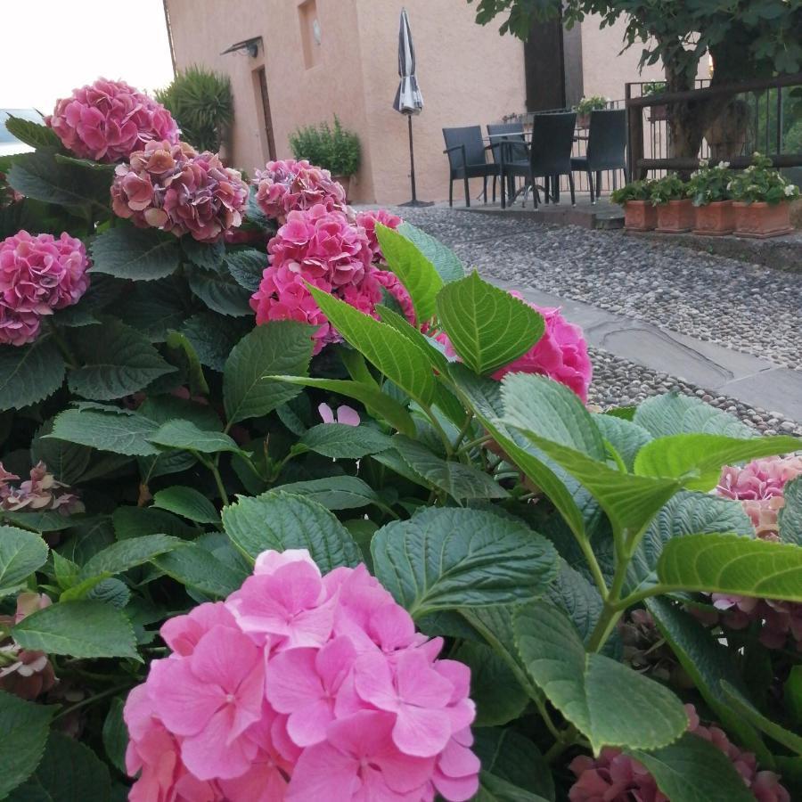 B&B Ronco Degli Ulivi Iseo Ngoại thất bức ảnh