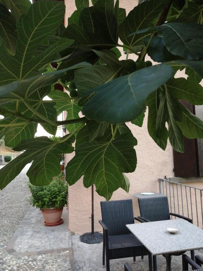 B&B Ronco Degli Ulivi Iseo Ngoại thất bức ảnh